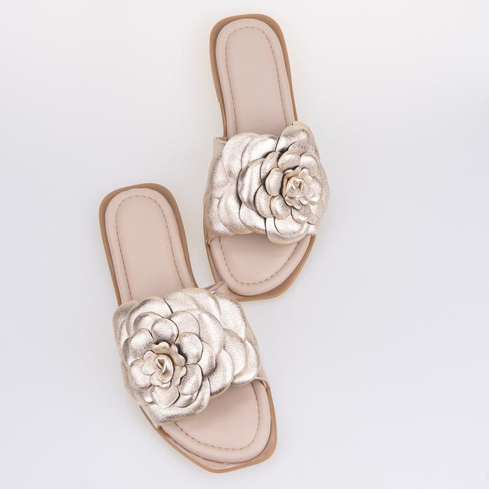 ΣΧΕΔΙΑΣΤΙΚΑ ΠΑΝΤΟΦΛΕΣ LIBA